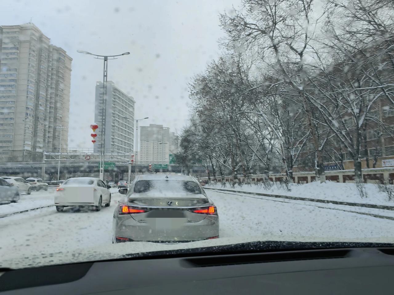 一场从昨天中午开始到今天上午还不停歇的雪把乌鲁木齐刚刚呈现出的春天气象打回原型，