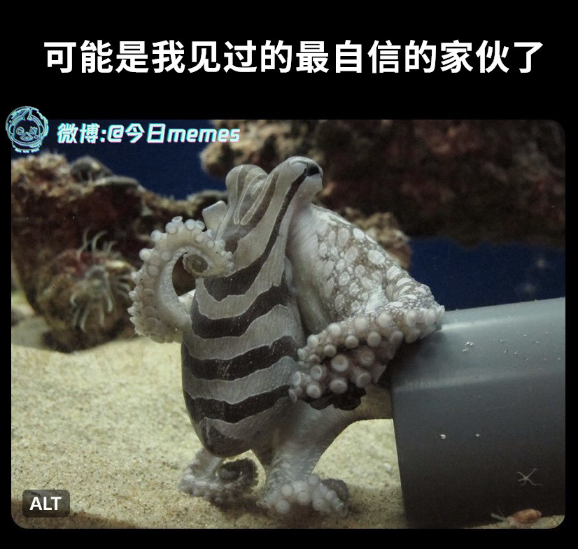 哟（9gag）哎呀​​​