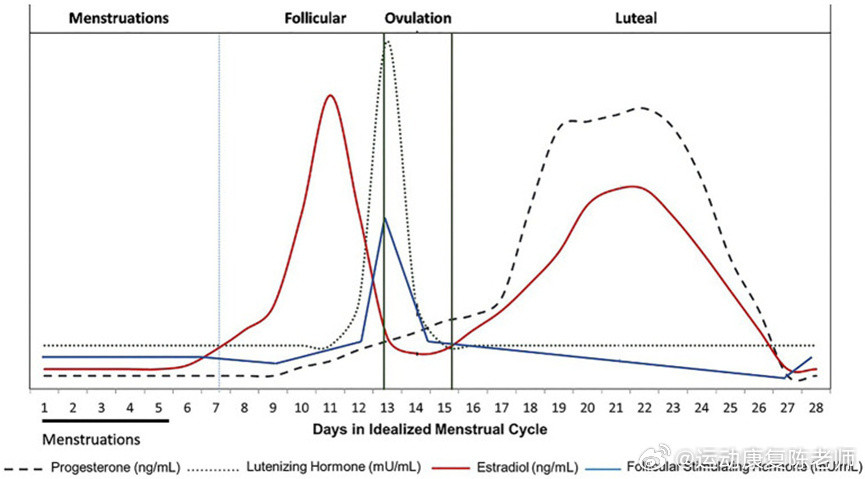 女性运动安全指南今天是“三八”国际劳动妇女节，给大家整理了一份「女性运动安全指