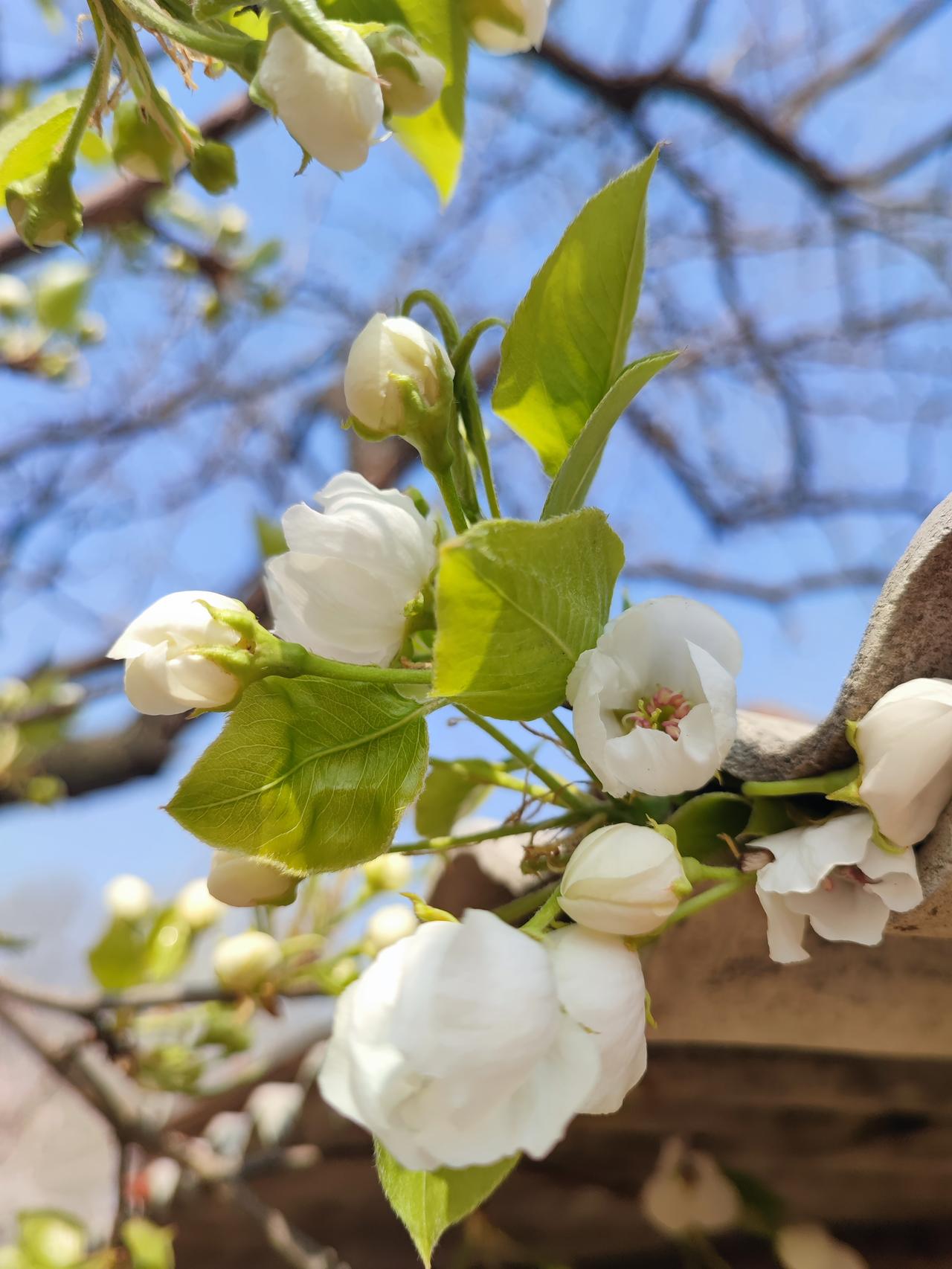 听的人哭笑不得今天和两个小媳妇唠嗑，一个说她老公心细又会体贴人，家里家外都