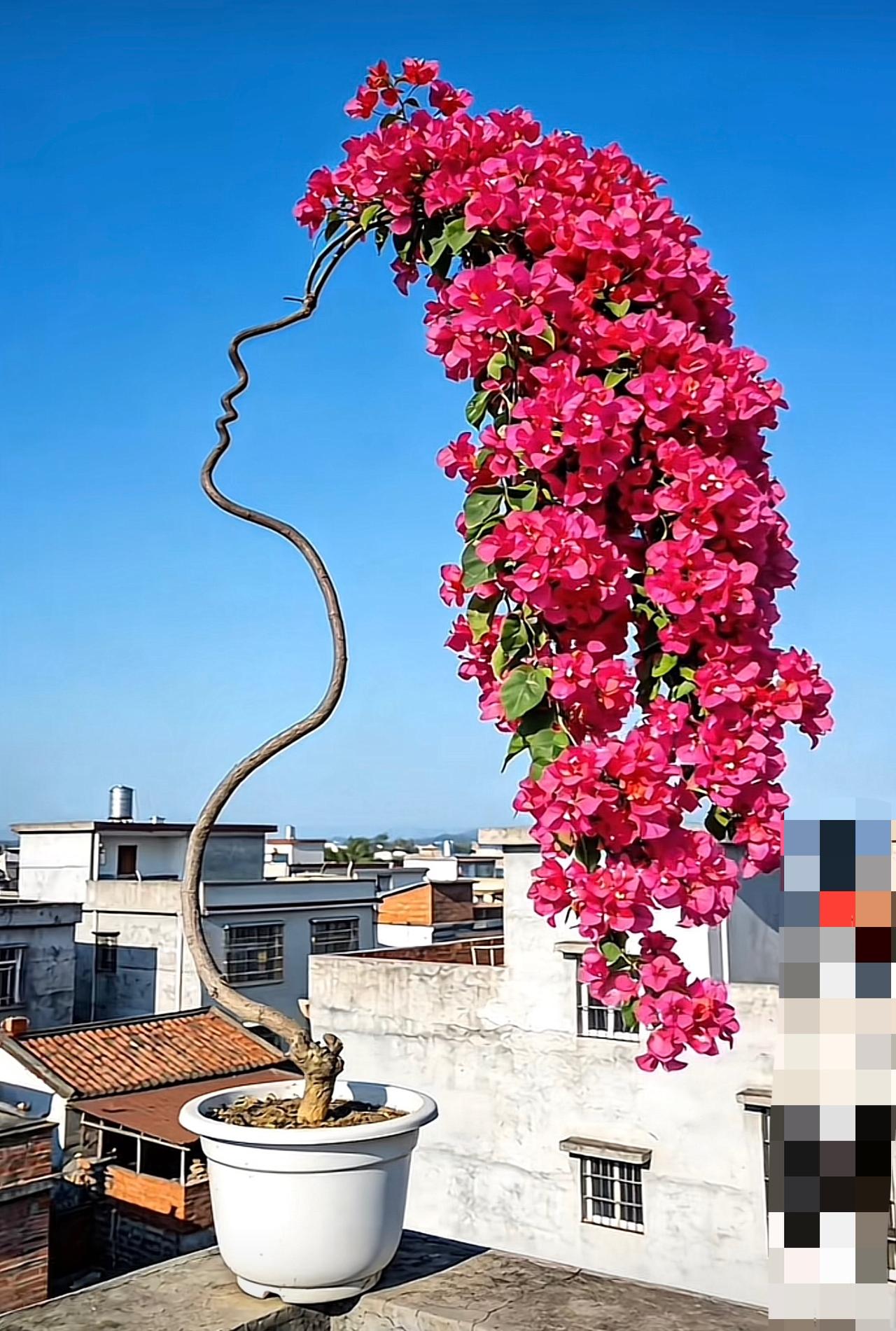 心理学家说宇宙万事万物对接的源头是“心念”，这说法太妙了。心念就像那无形的手，塑