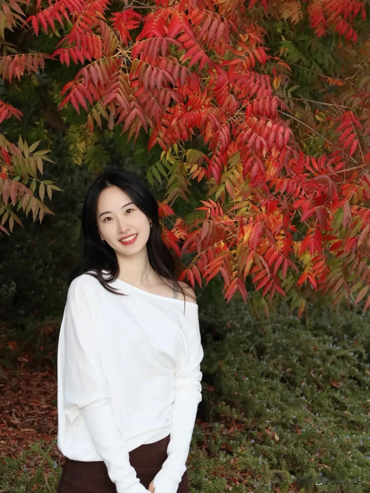 老舍先生门前柿子熟了