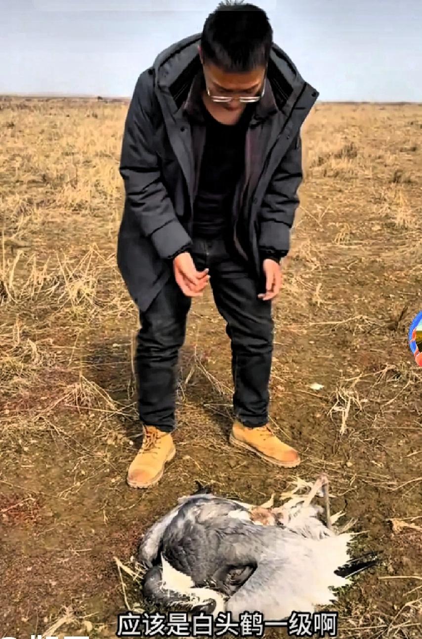 真的太令人气愤了！我就奇怪了，有些个别人为什么净做些让人膈应的事呢？是闲的没事