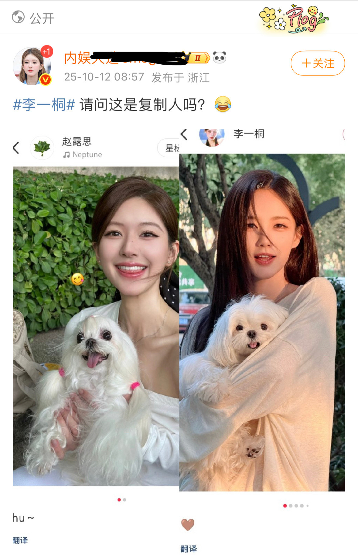 内娱从此失去了抱狗合照自由​​​