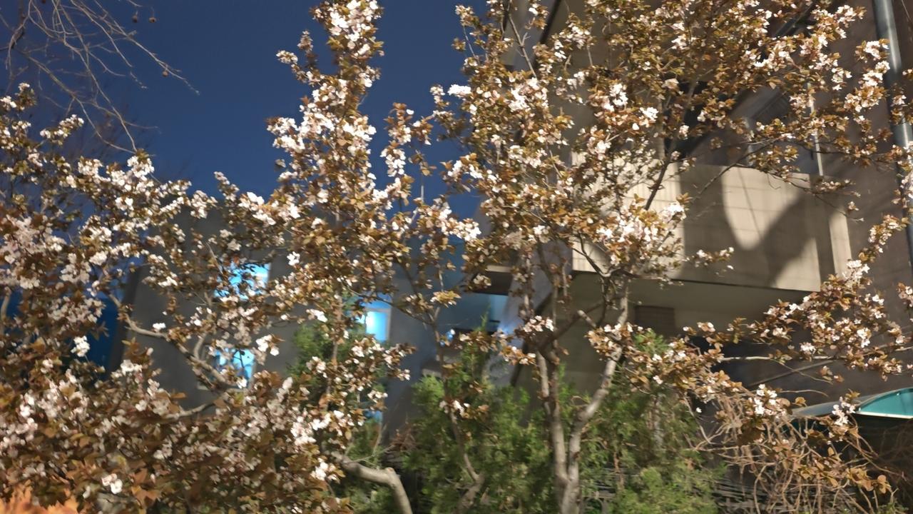 人生就是熬，人生就是煮，时间到了自然熟！