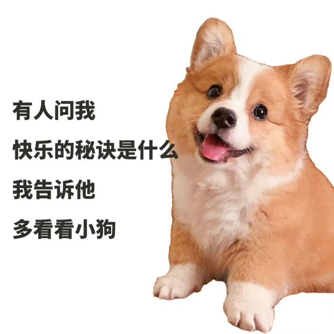 快乐的秘诀：多看看小狗​​​