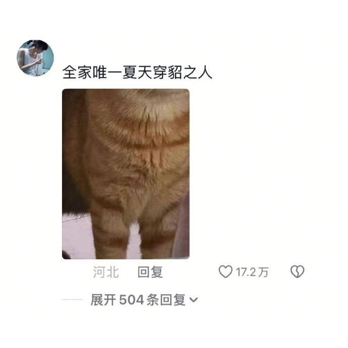 全家唯一一个大夏天穿貂的