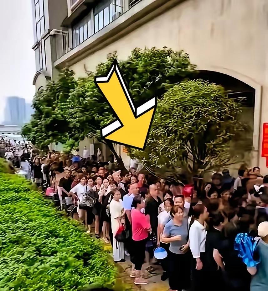 凌晨三点，几百人裹着毯子蹲在长沙街头排队，我还以为在抢演唱会票，凑近一看，居然是