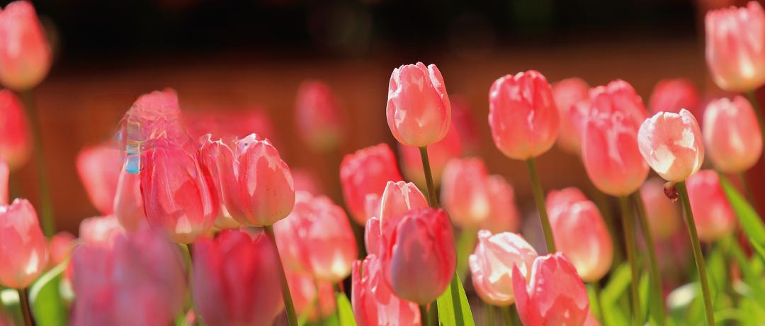 女人退休后幸福的标准：一、每天能吃到老公做的饭；二、自己有不低于5000元的