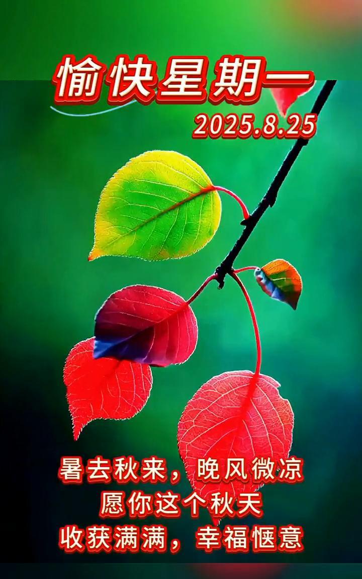 愉快星期一，2025.8.25。暑去秋来，晚风微凉。愿你这个秋天收获满满，幸福惬