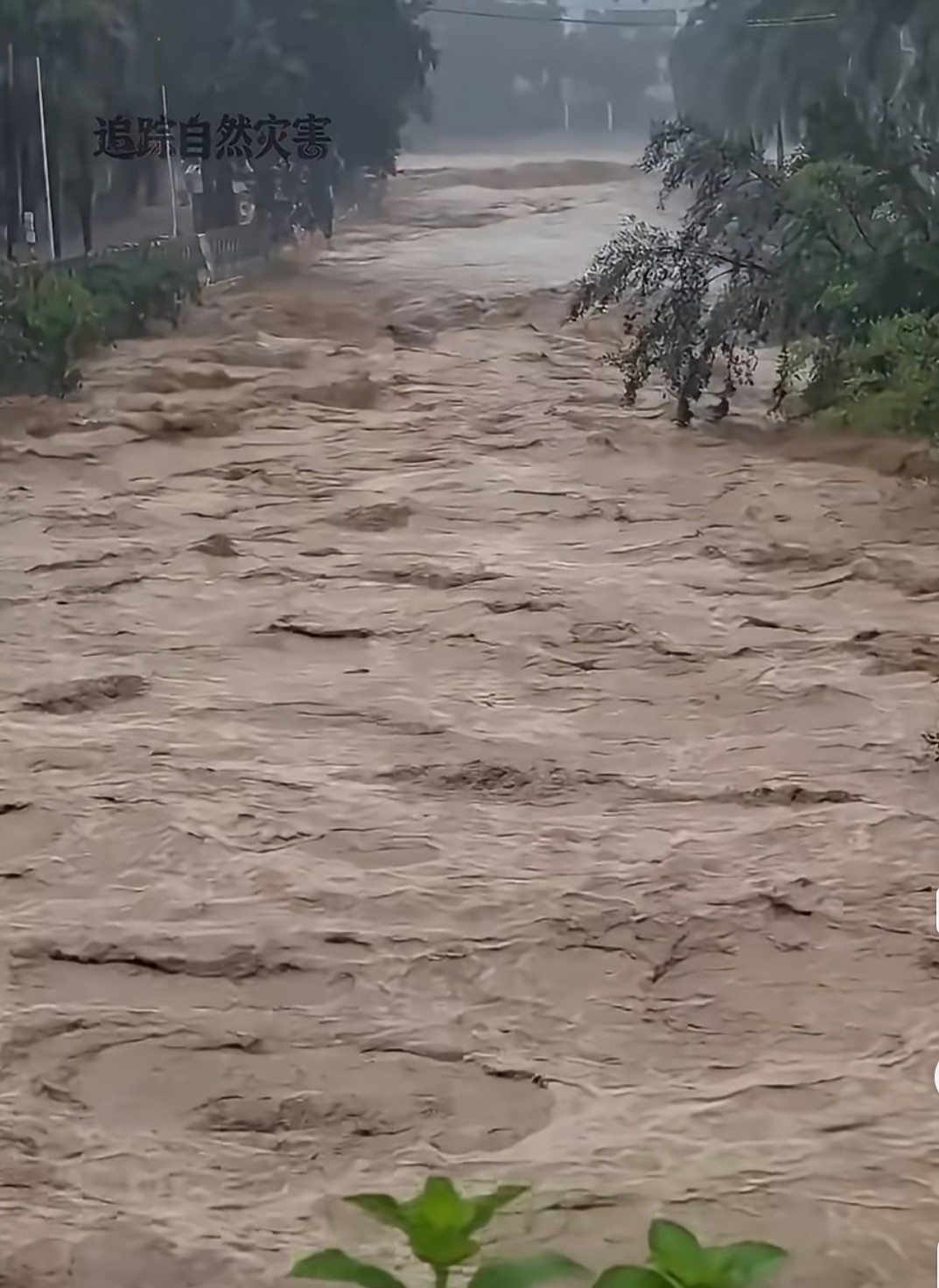 海南大暴雨特大暴雨我滴妈呀，这哪是路，这是河吧！流量竟然这么大🌚​​​
