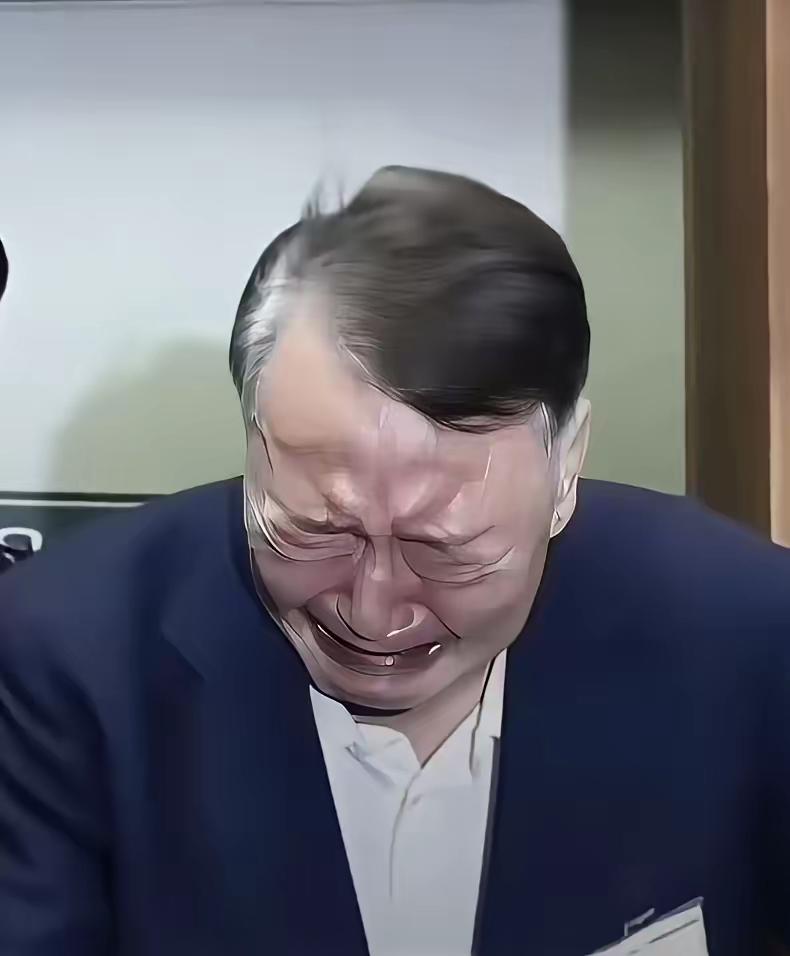 韩前总统尹锡悦，庭审痛哭很难过。决策失误路走错，承担责任必然的。网友评论: