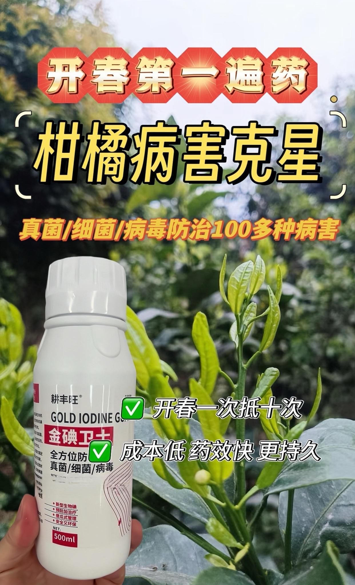 柑橘病害克星,专治真菌/细菌/病毒,降低种植成本柑橘种植果树管理促花保果