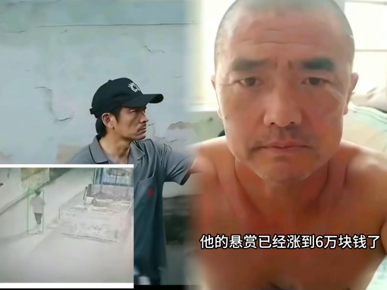 “辽宁绥中高大友这事儿，怕是快到‘大结局’了！”连着三天小雨，夜间8℃还刮四级风