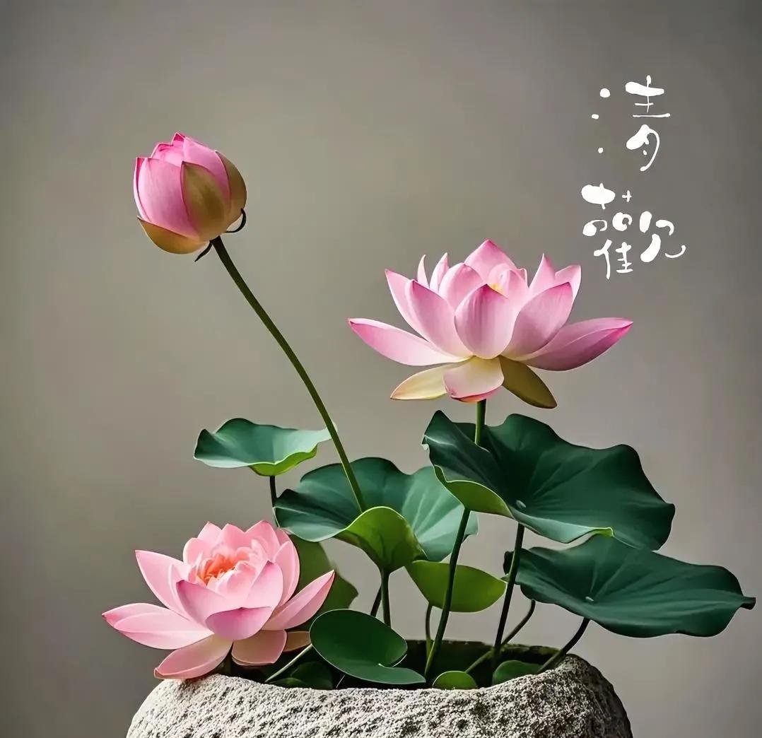 弘一法师说：“尽力之后，选择随缘吧，人的手就那么大，握不住的东西太多了，世间一切