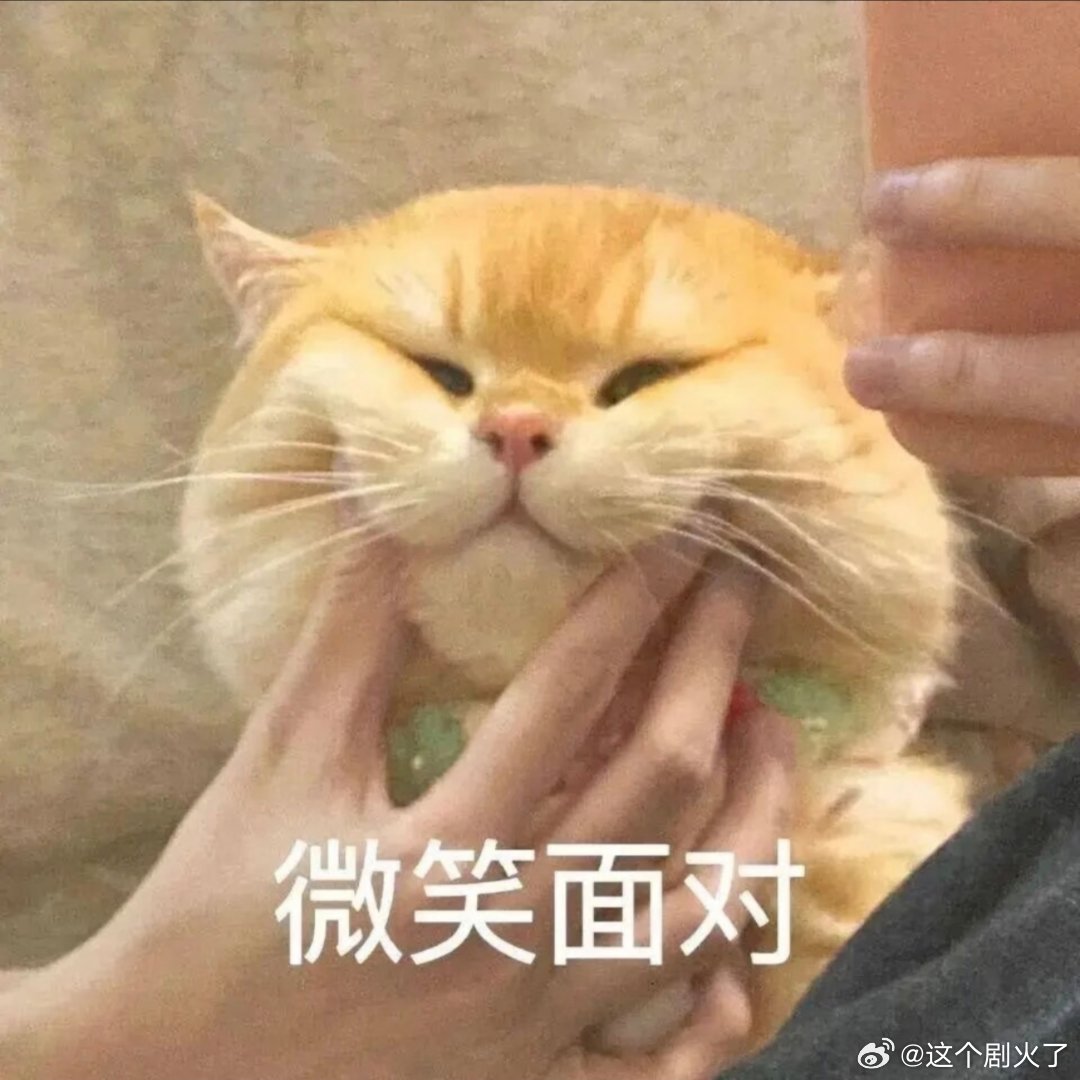猫咪表情包。​​​