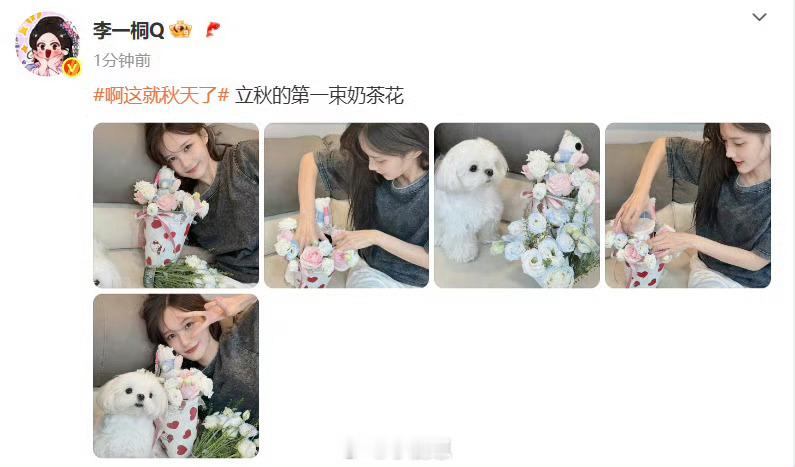 李一桐晒立秋第一束奶茶花立秋第一份惊喜是李一桐的奶茶花！把奶茶扎成花束，又特别又