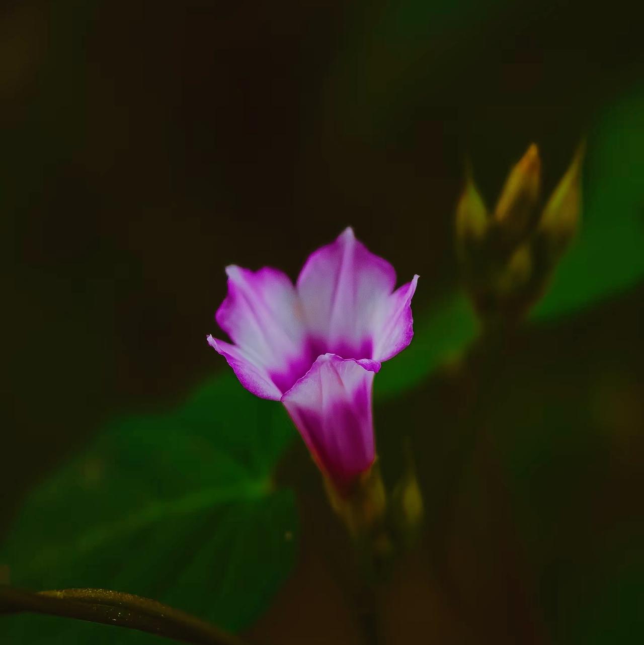 男人和女人找对象的区别，男人会下意识地寻找一个能帮他稳定后方、降低生活成本的女人