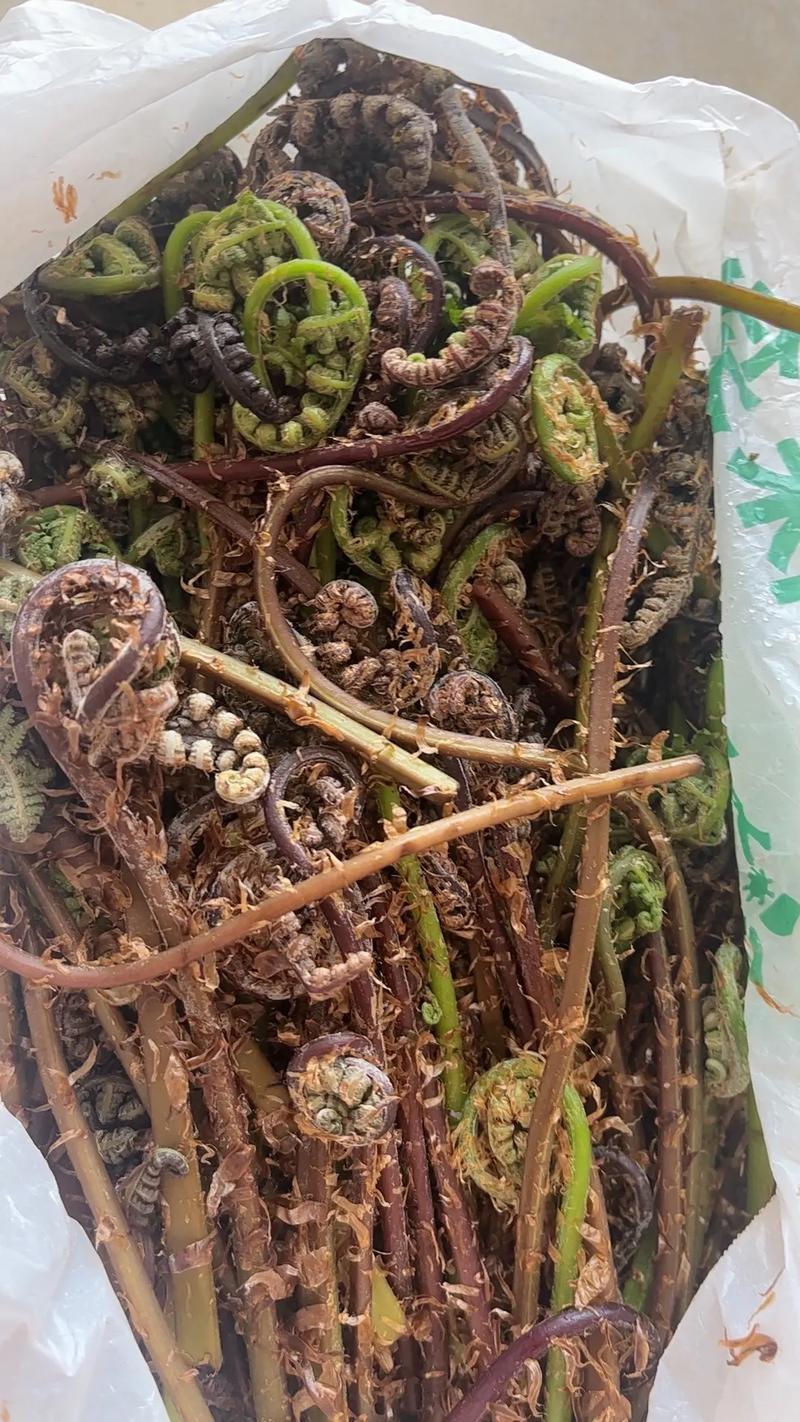 5月22号，坐标吉林市，买了些山菜猴腿炒肉吃，那味道着实不错。今早去菜市场，