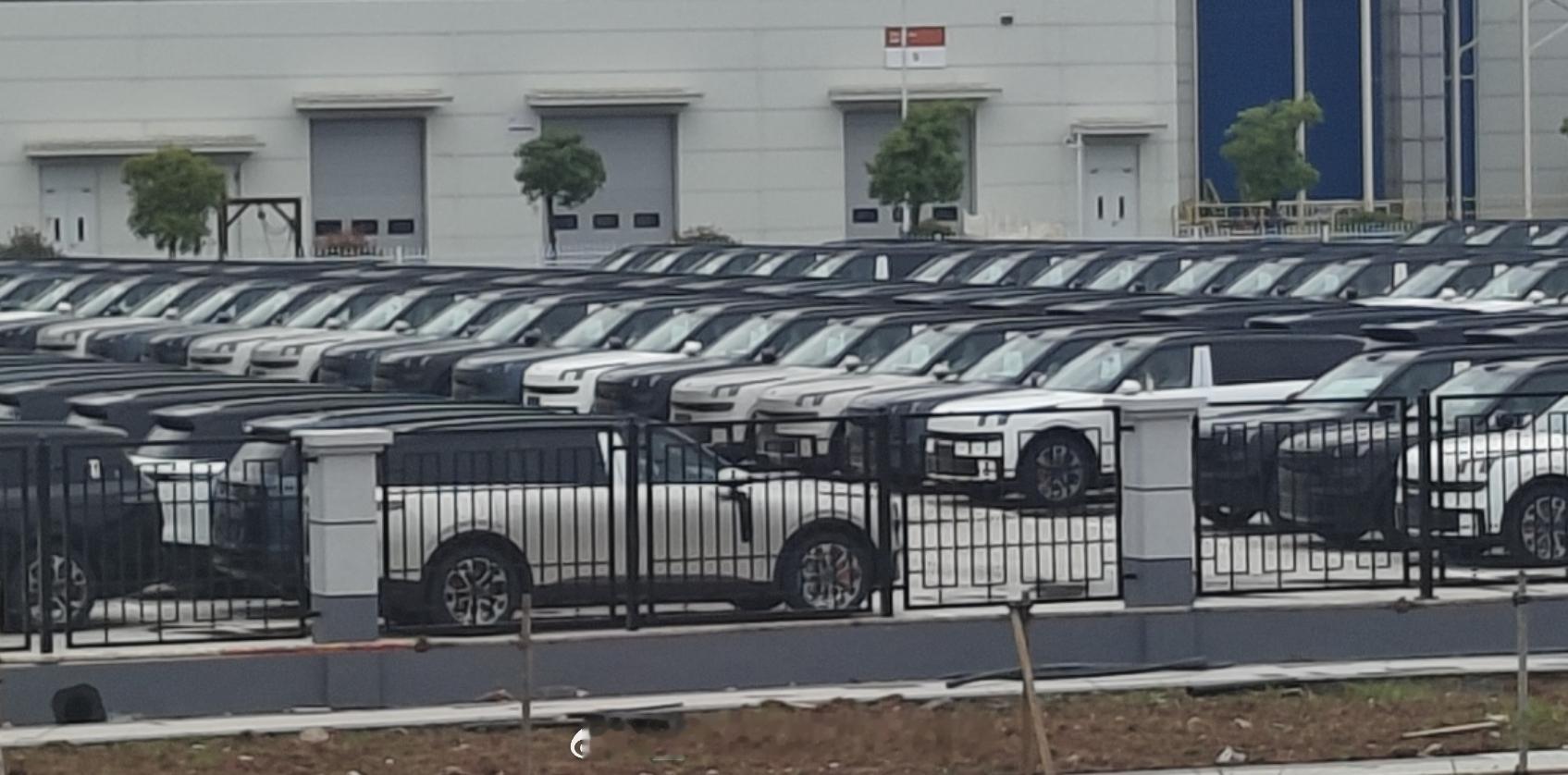 密密麻麻全是领克900下周估计场地就清空了选白色的人确实不多领克900汽场全开大