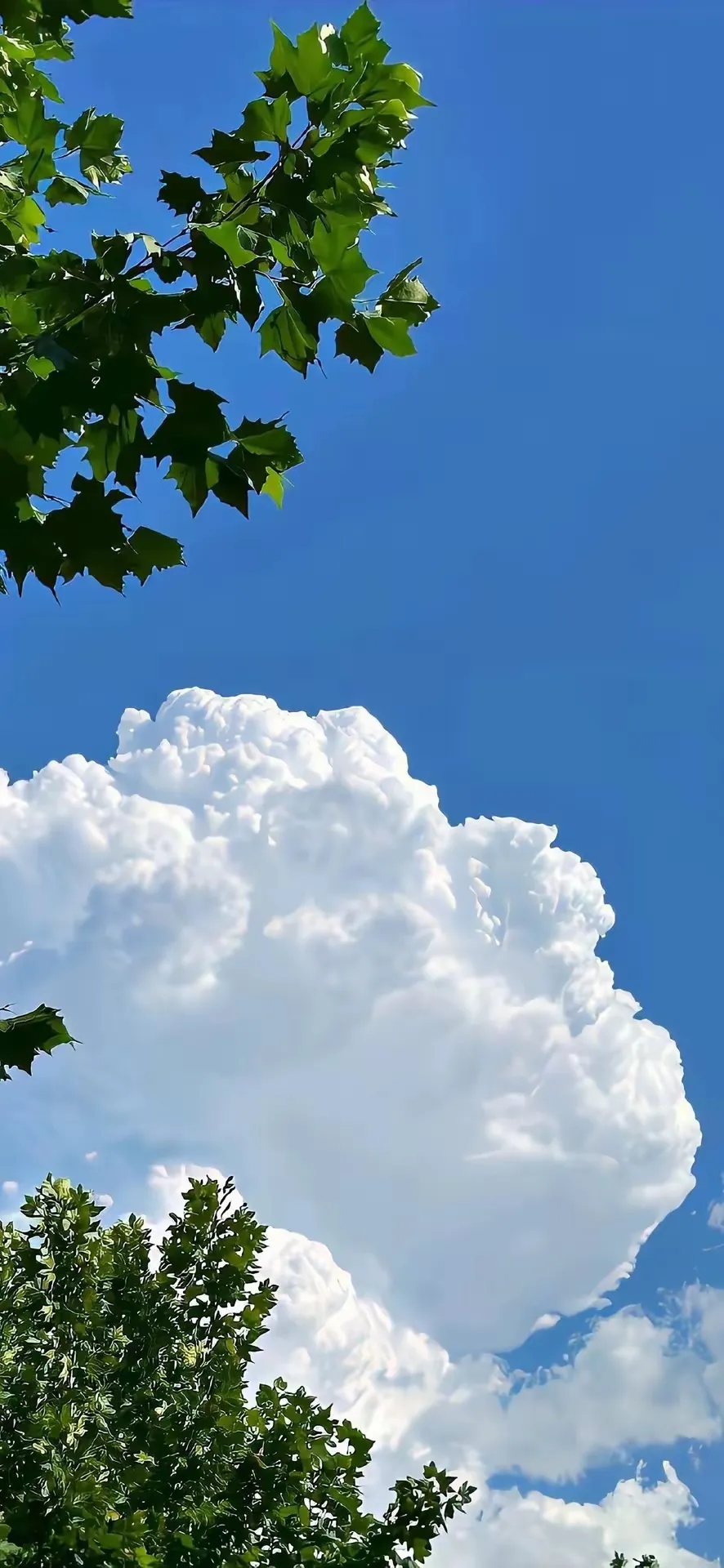 最有道理的一句话:“结不结婚都是一个人的事，所有婚姻不幸的人，都有一...