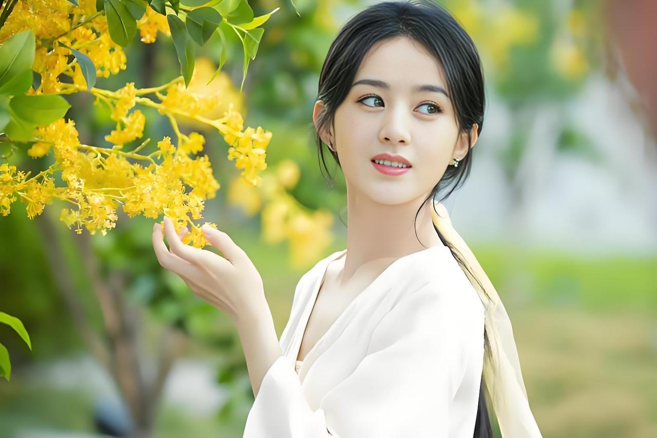提名公布那天，热搜榜被赵丽颖三个字刷屏。她主演的《小城大事》收视破3.62%，手