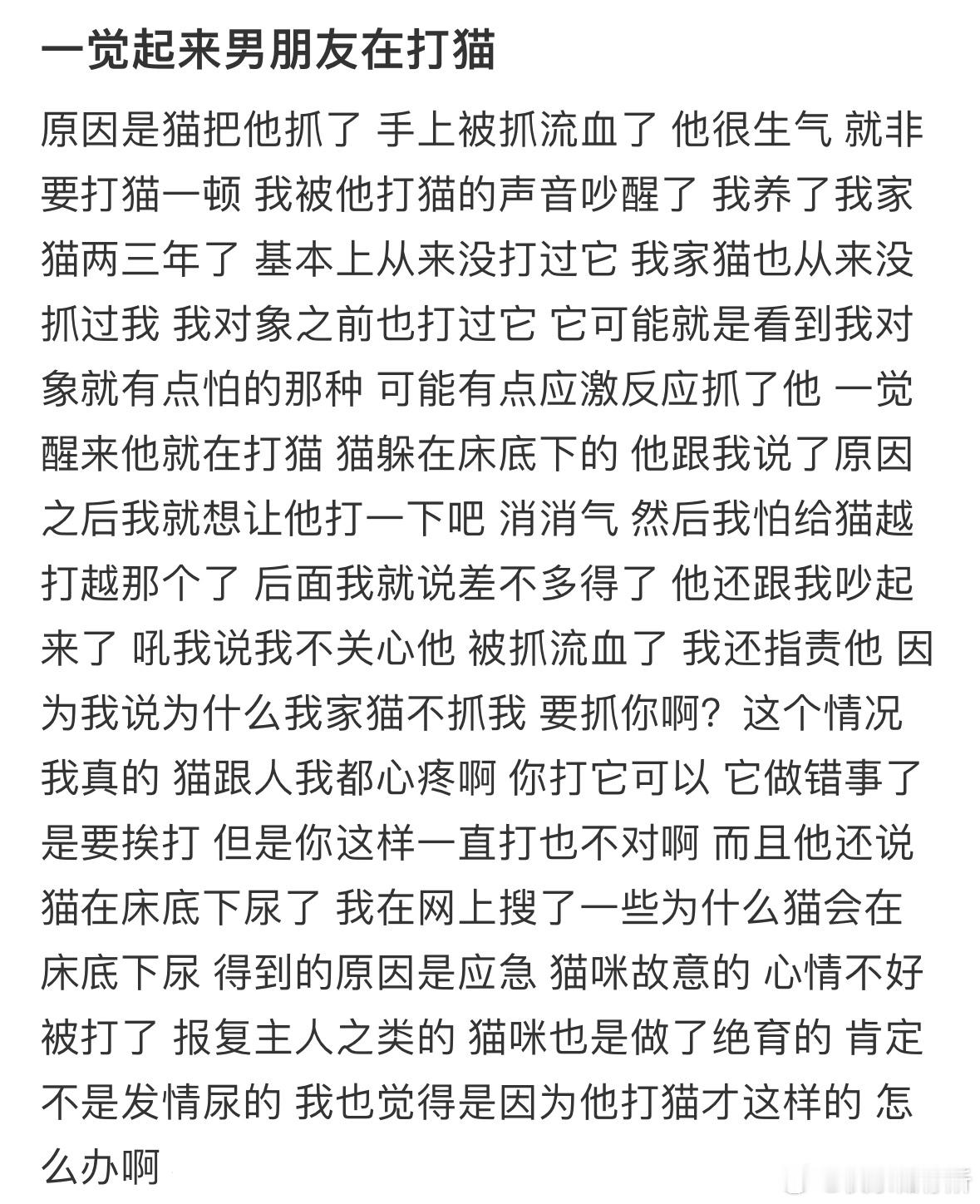 一觉起来男朋友在打猫​​​