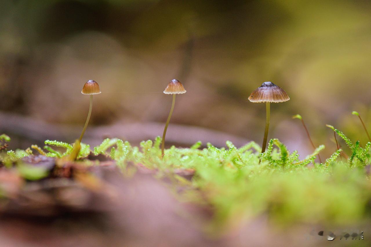 天冷了，这些保暖小妙招，其实是健康陷阱！25日至27日，全国大部地区又要迎来4