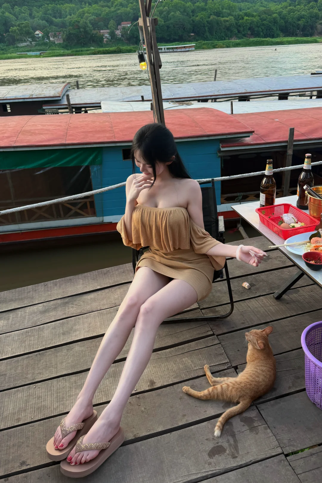 小猫与我