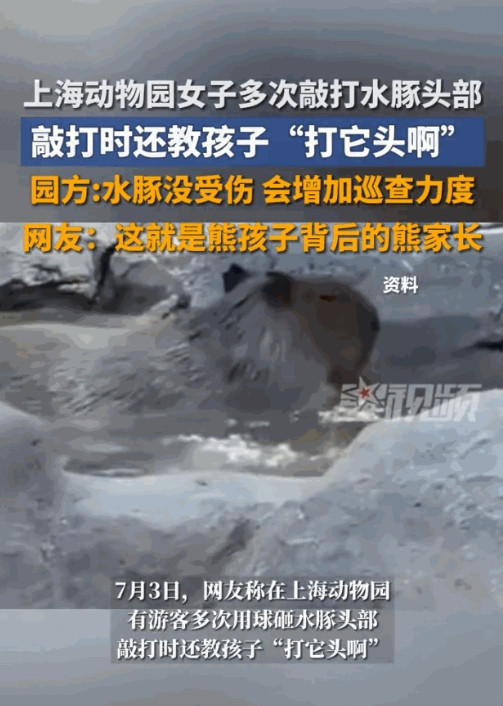 “必须严惩！”7月3日，上海，一女子带着孩子到动物园里游玩，谁知却用球多次打砸水