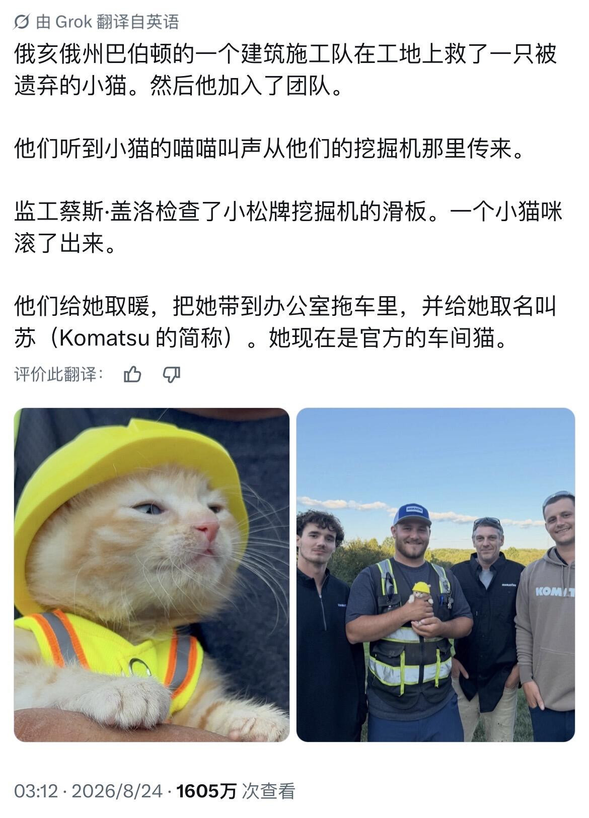 在建筑工地发现的小猫咪成为了团队新成员​​​