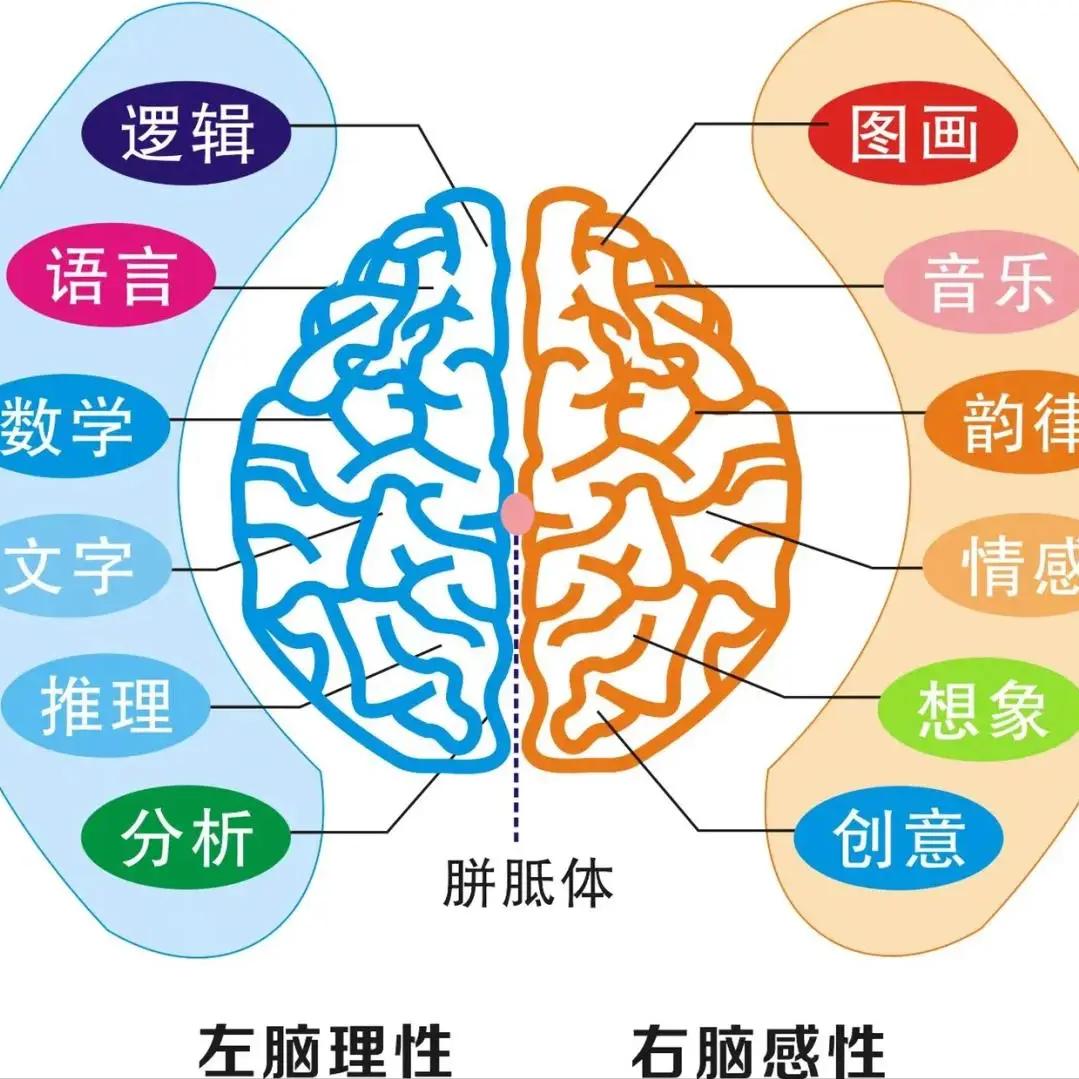 软瘫硬瘫哪个更可怕？偏瘫家属别再猜了，一次讲清！很多家人一看到患者胳膊腿“软绵