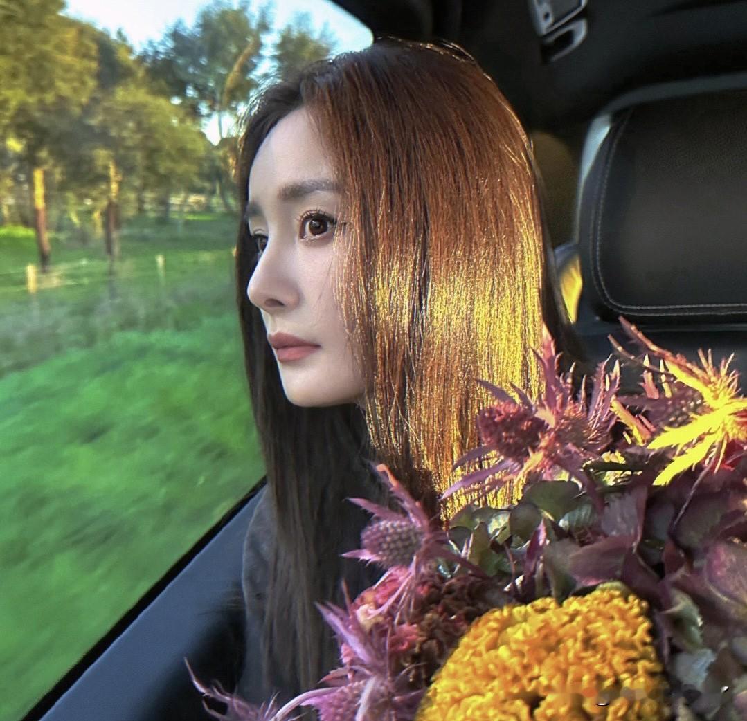 杨幂的花束头像～真的太美了，大家可以换头像啦！杨幂
