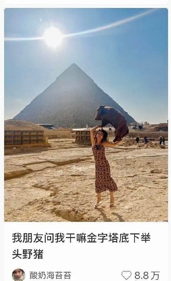 劲儿真大！金字塔底下举野猪