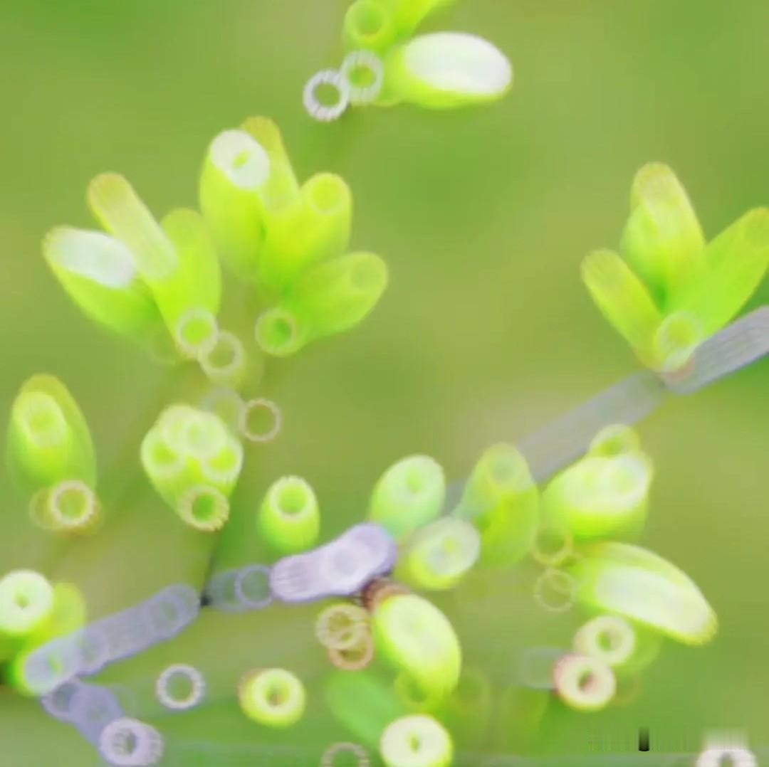 紫金矿业技术分析！紫金矿业在三月二十三日探底之后回升，股价运行在一个角度平缓