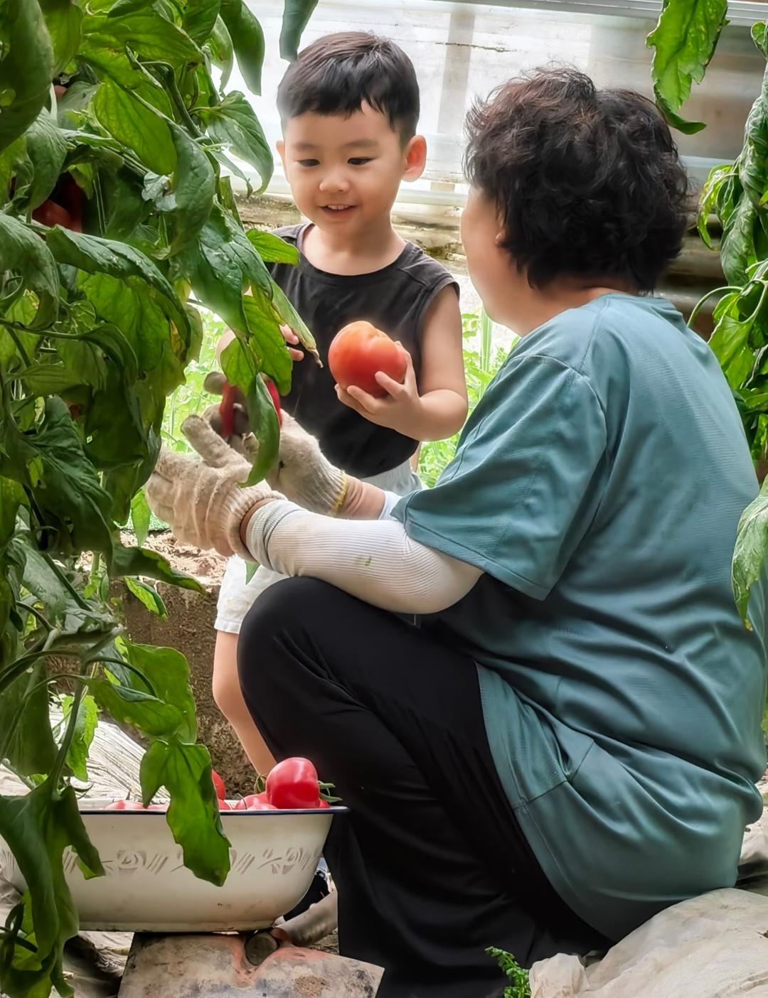 现代的年轻夫妻都是怎么了？这生儿子的人怎么跟犯了滔天大罪似的呢？昨天小姨给