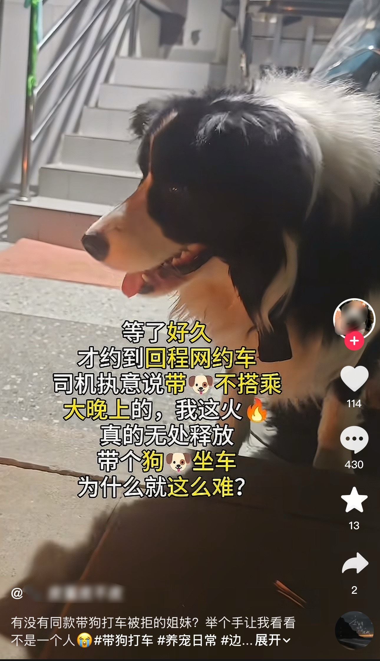 网友发帖吐槽，带宠物狗搭回程网约车被拒载。