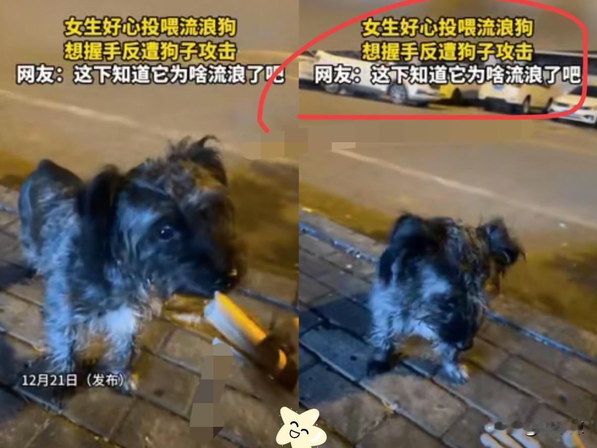 “悲剧还是发生了！”一女子在路边遇到一只流浪狗，看上去挺可怜，于是，好心拿出火腿