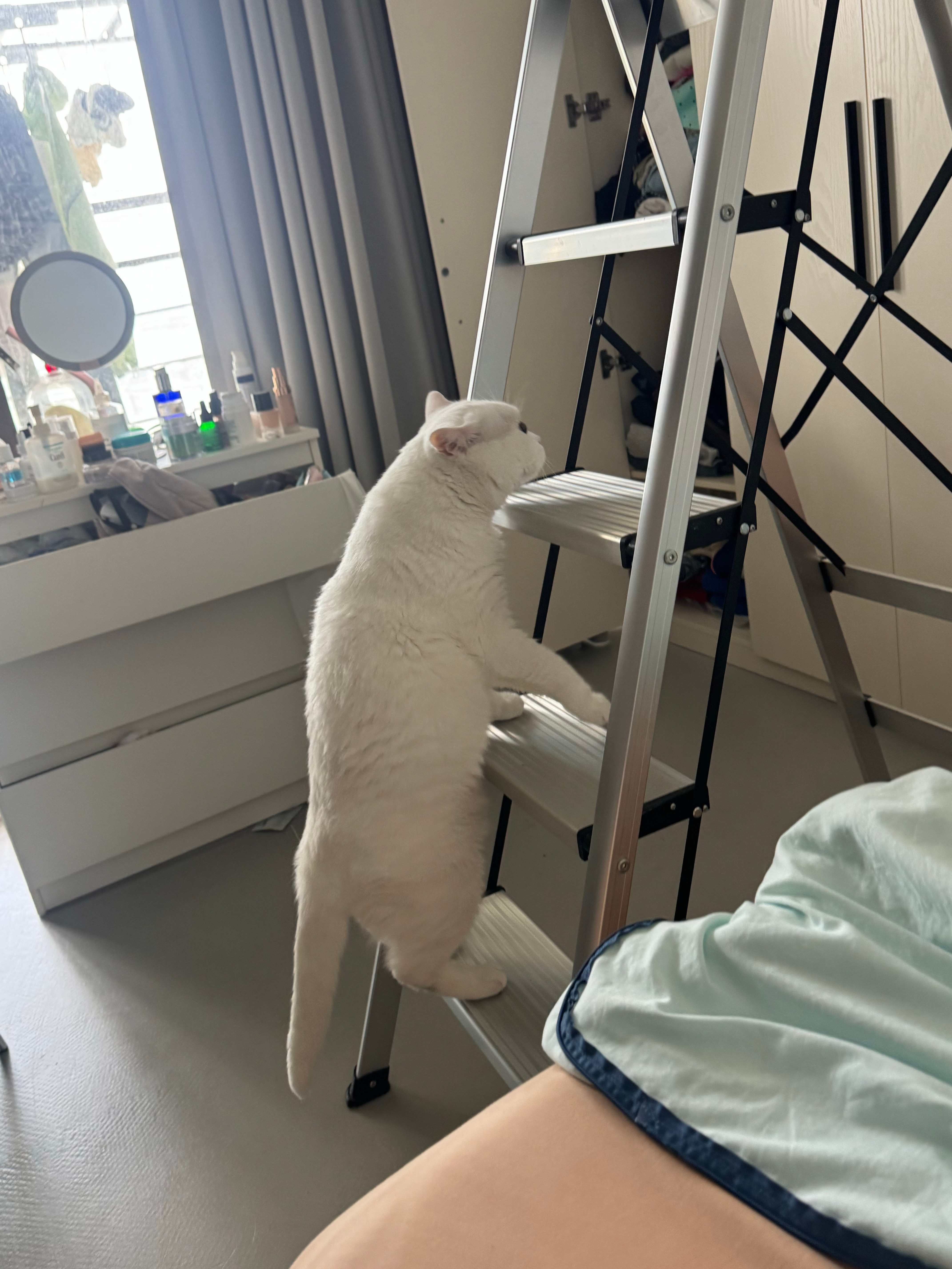 师傅你是做什么工作的。