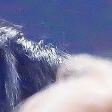 每日一善‎种植耙耙柑如何栽植：1.选址耙耙柑喜欢光照充足、排水良好的土地。