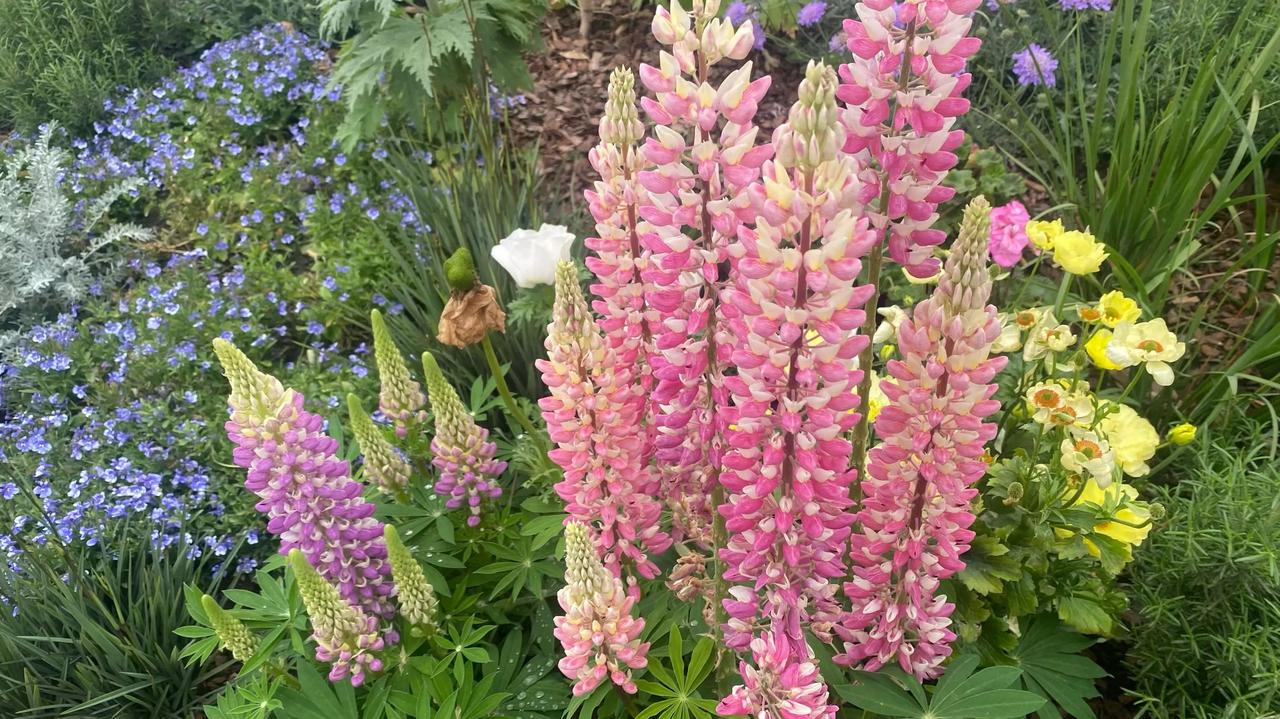 人这一辈子，总会遇到些糟心事儿、闹心的人。有的事记在心里，越想越气；有的人放在眼