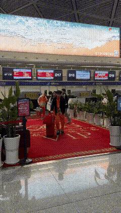 小石头从海南出发澳门了！[赞]今天小石头穿了一身橙色运服服，还穿了件黑色外套，