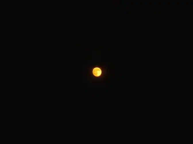 #祝绪丹#​