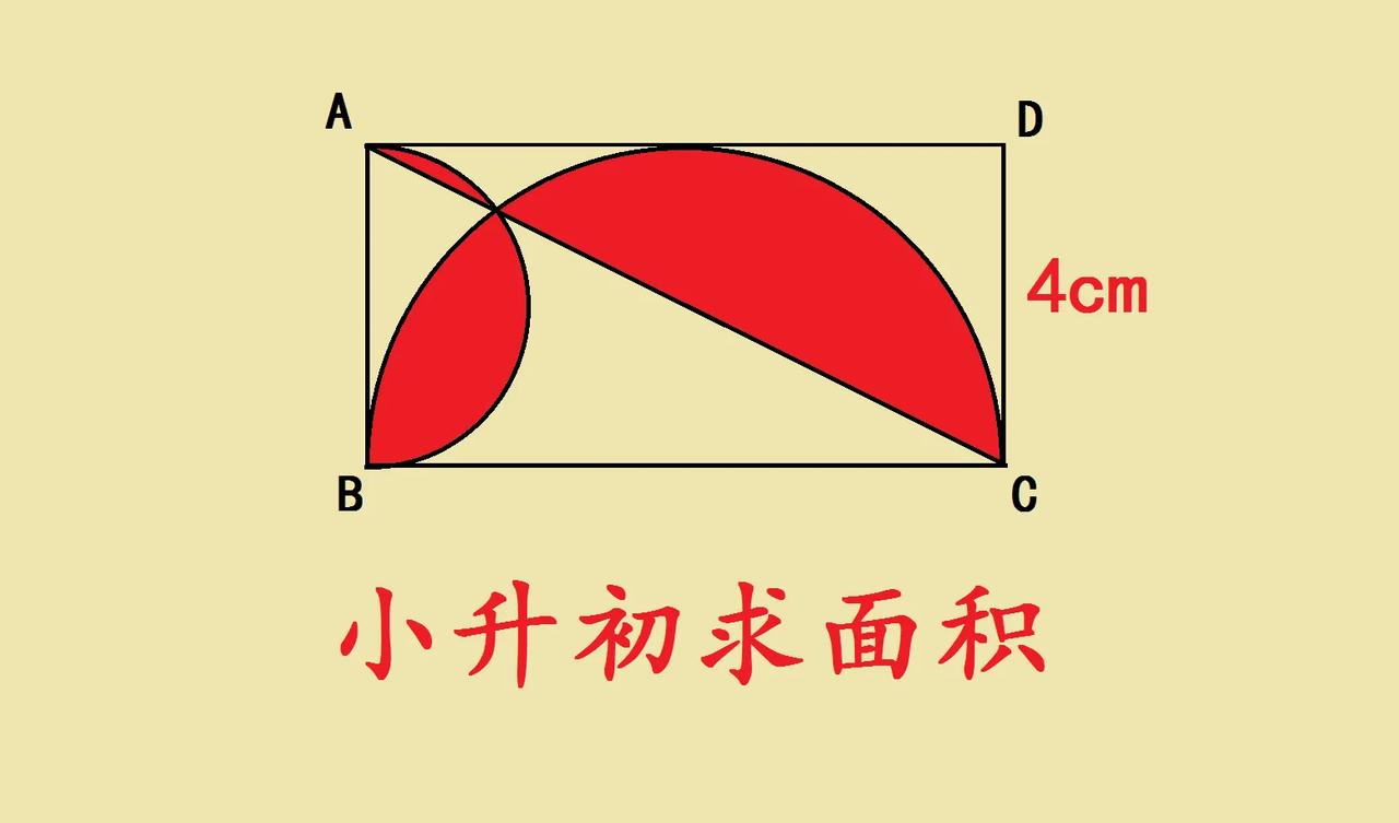 小升初求阴影面积题，难哭学霸的几何题，长方形ABCD，宽4cm，里面有两个半圆弧