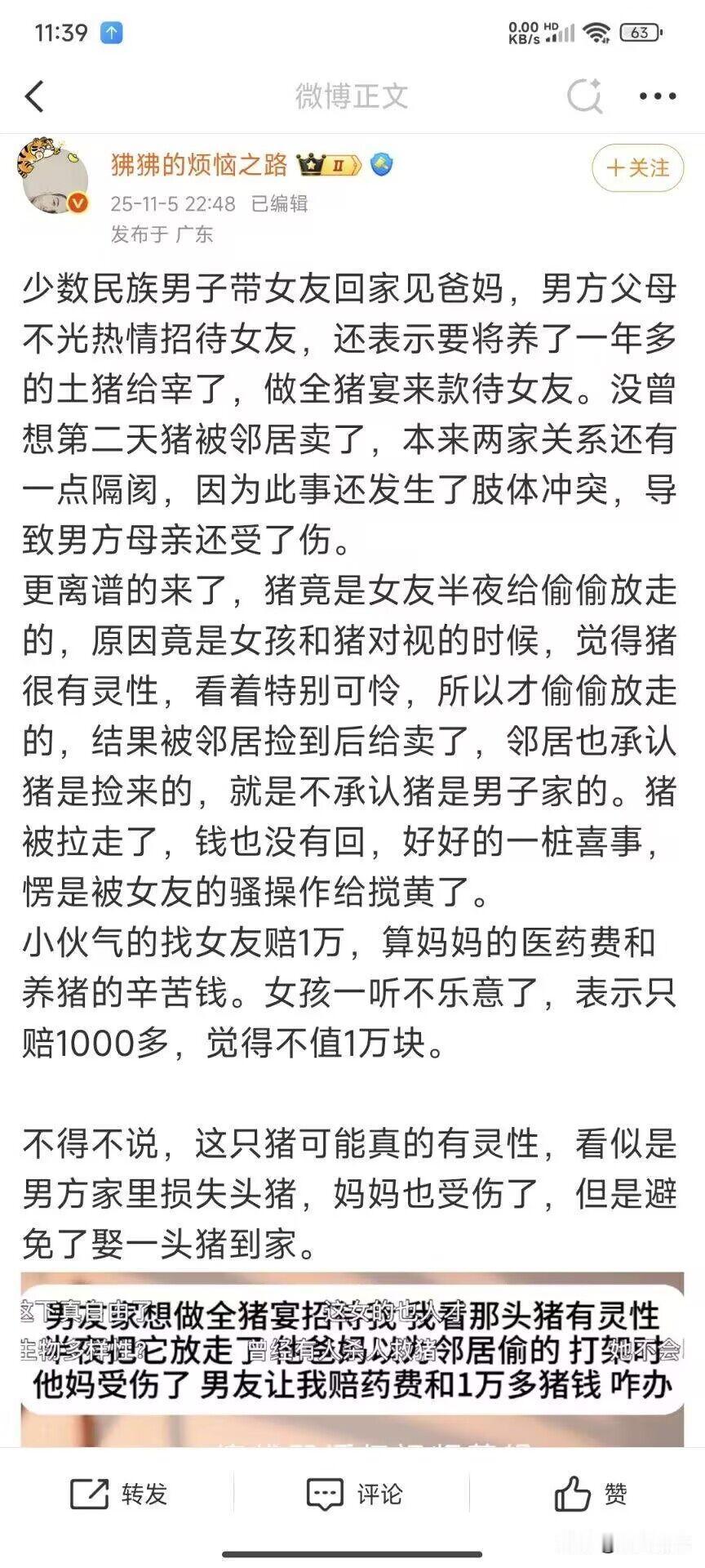 还真是一头有灵性的猪