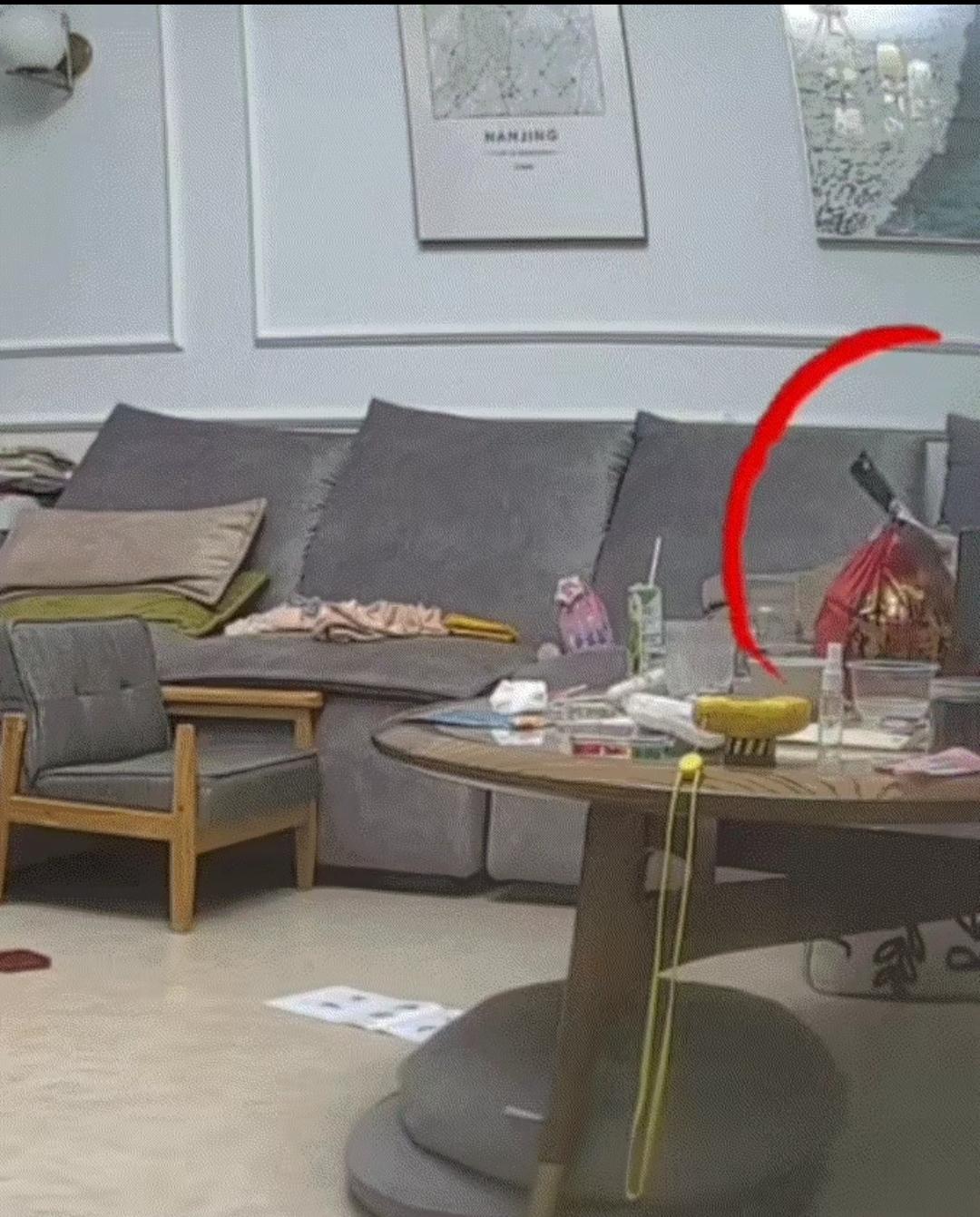 一妈妈点了一份外卖，而外卖送到后，妈妈把外卖放在自家客厅桌上后，便带孩子去洗手准