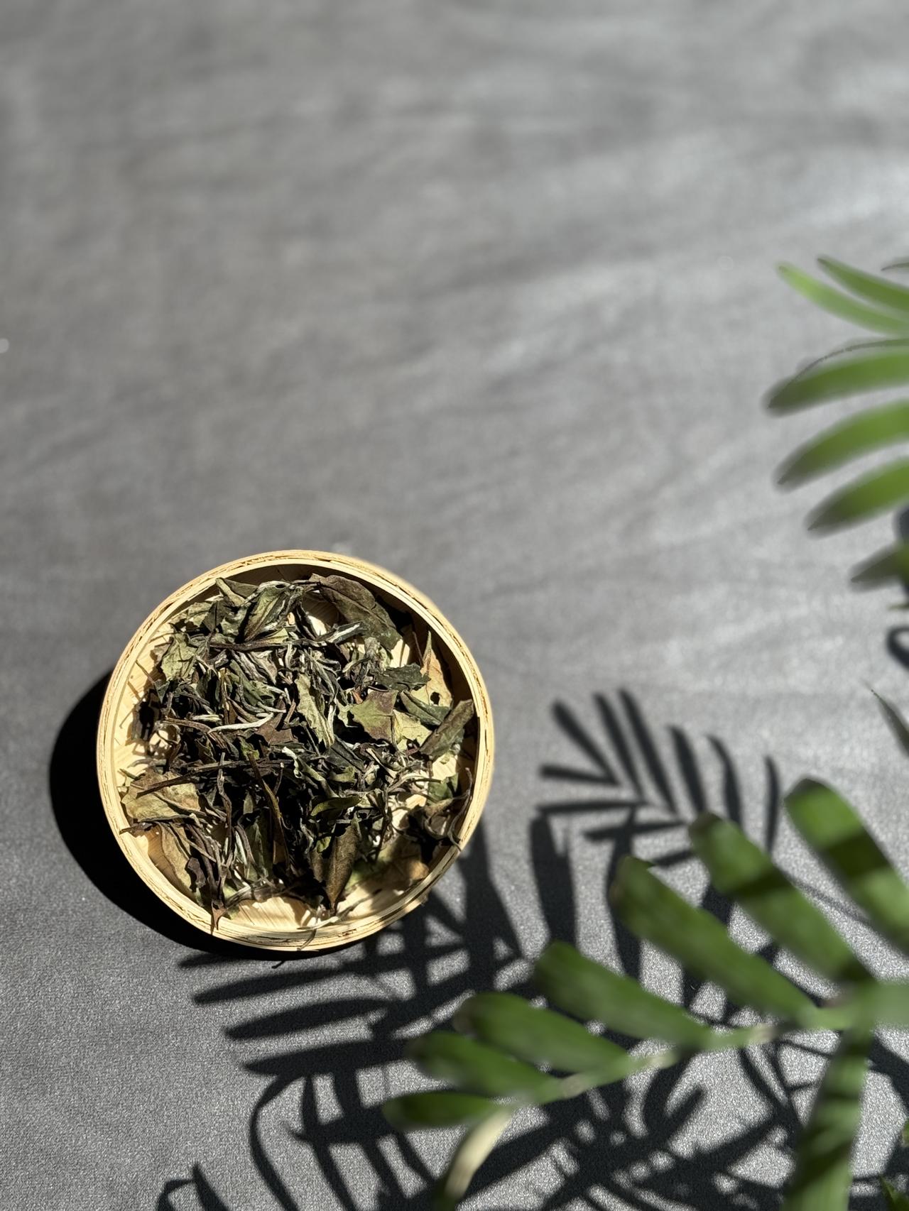 快秋分了，为什么劝你多喝茶？第一，润燥。秋分过后，天气愈发干燥，多喝茶不仅能