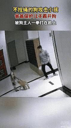 走廊里，狗狗追着男孩嗅，男孩有点害怕，爸爸一脚踢开狗狗。 狗主人从后面大步赶