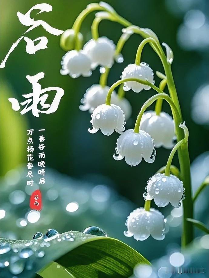 谷雨养生别乱来！中老年人记住：1不晒、2要躲、3不坐、4要吃一到谷雨