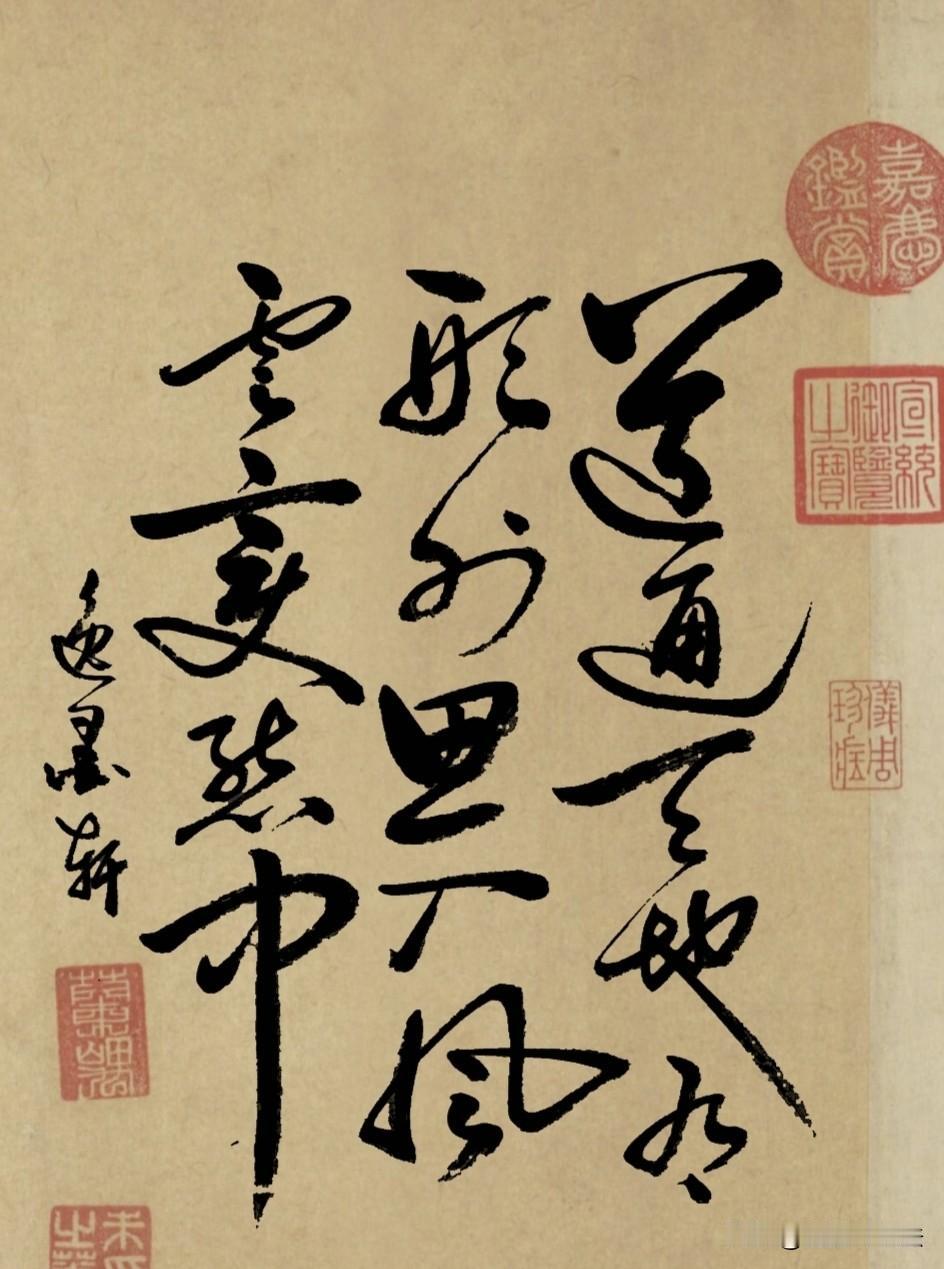 胸存大道，可通天地万象；心有灵思，能辨风云变幻。十余载寒窗积淀，只为今朝一展锋芒